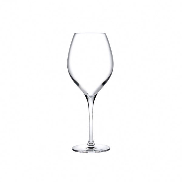 Vinifera Set of 2 White Wine Glasses 360 cc