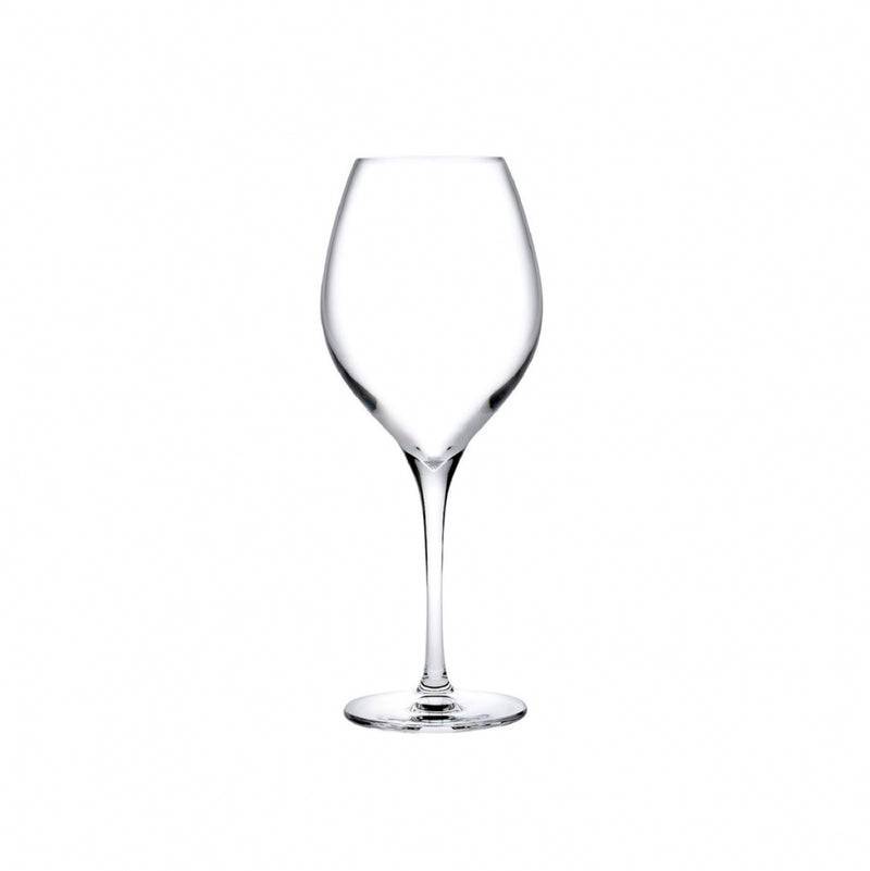 Vinifera Set of 2 White Wine Glasses 360 cc