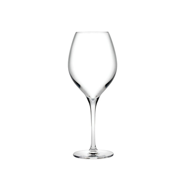 Vinifera Set of 2 Red Wine Glasses 450 cc